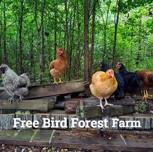 Meet your Posher, Freebird